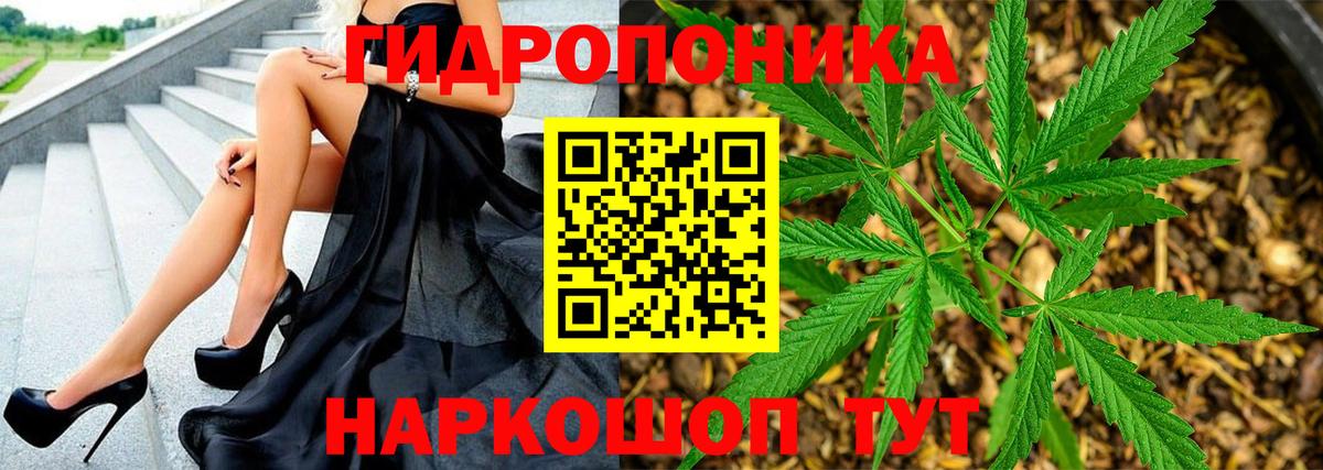 Канабис семена  Бошки марихуана ГИДРОПОН  Бошки марихуана план  Калуга  Шишки марихуана гибрид  Вход с VPN 